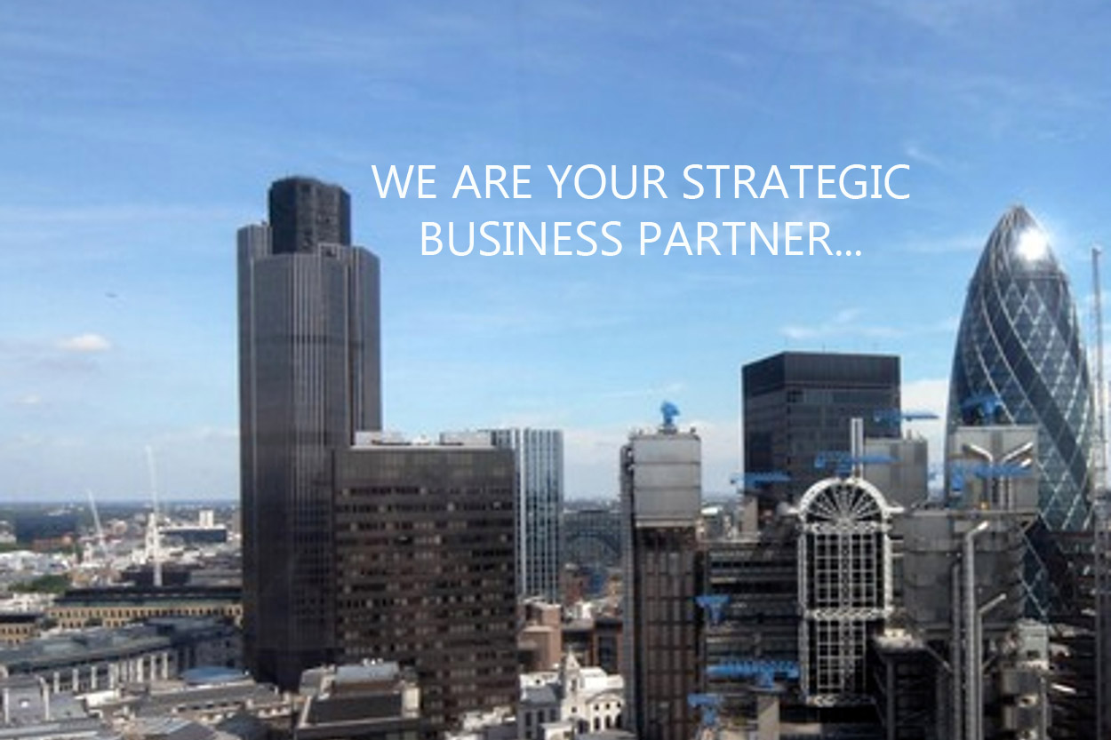 WE ARE YOUR STRATEGIC BUSINESS PARTNER